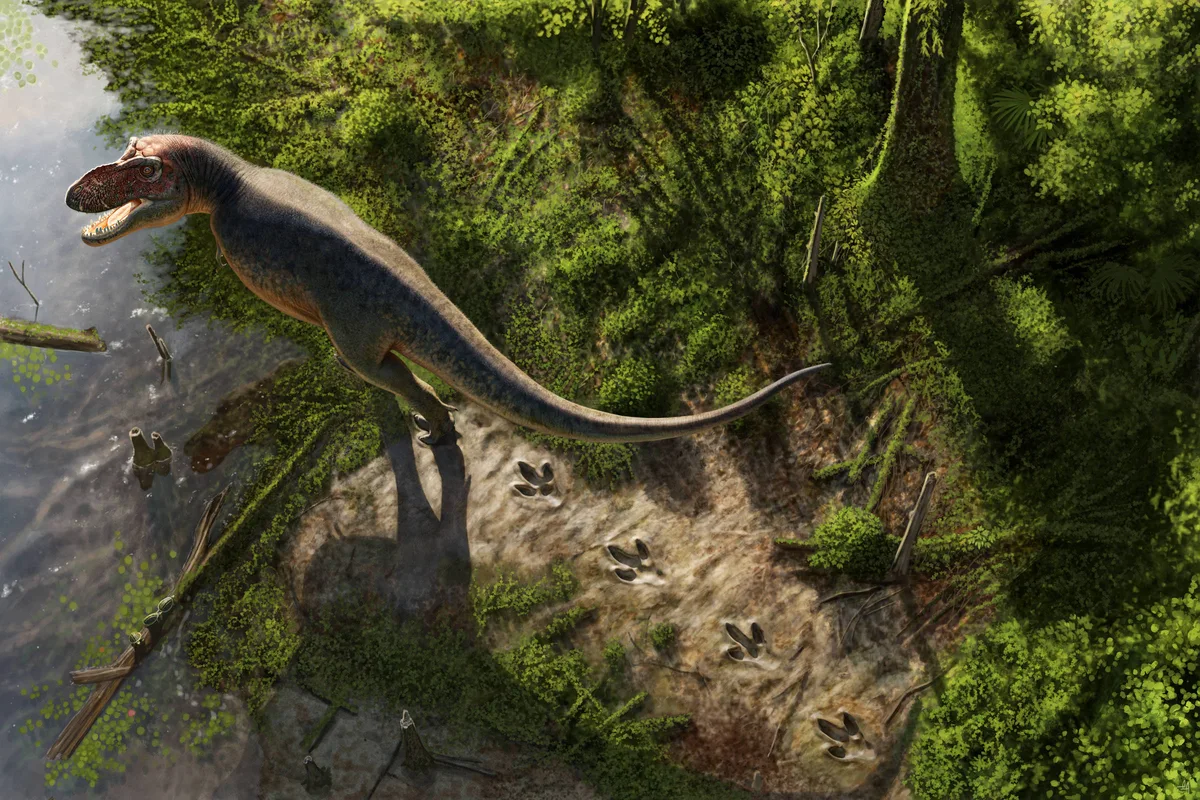 Pegadas de 66 milhões de anos são primeira trilha conhecida de um T. rex adulto