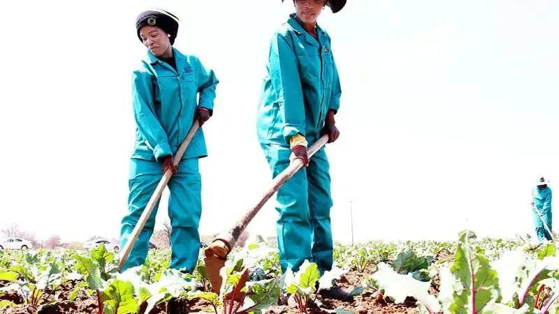 Africa must own the future of food