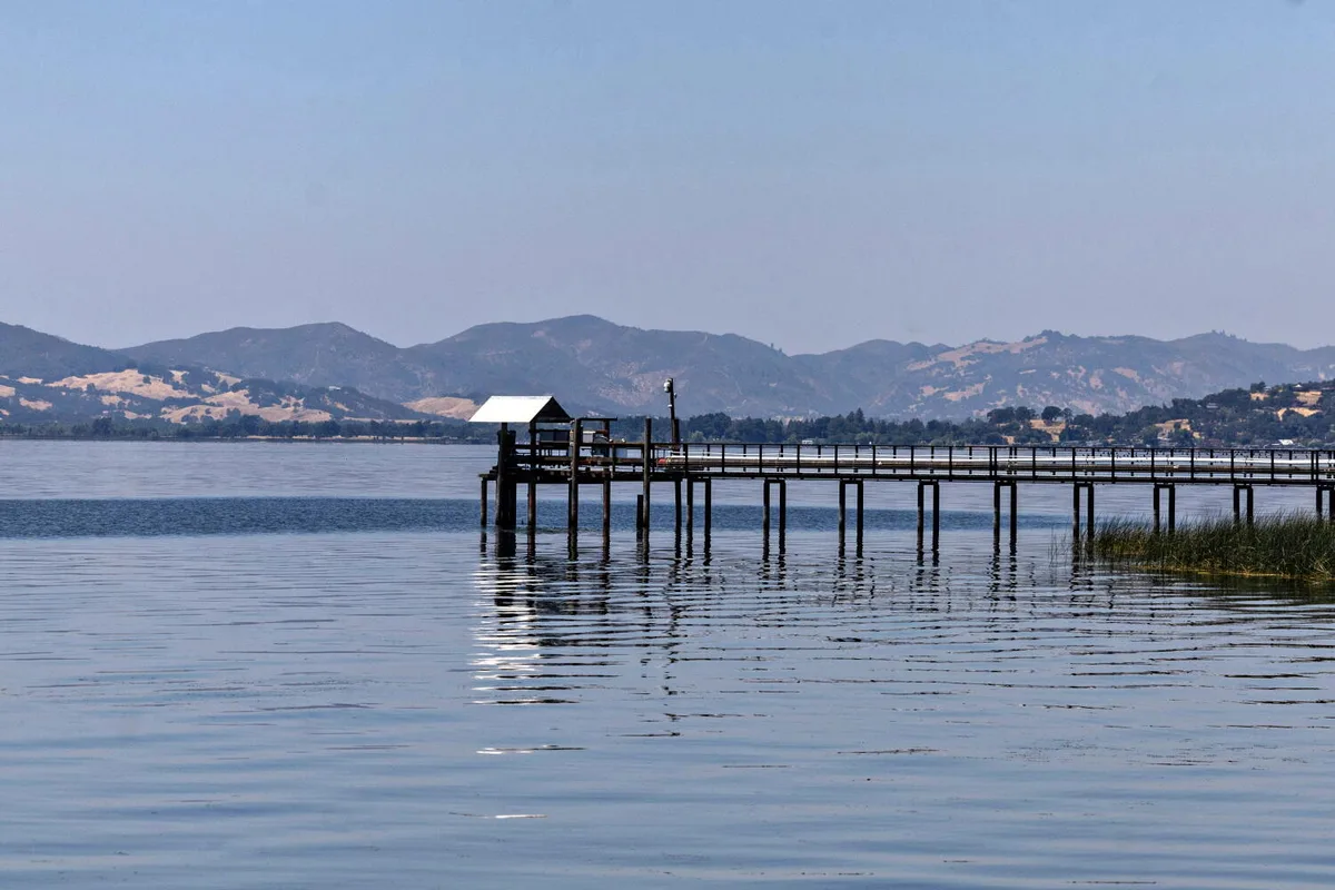 California's biggest lake is in crisis. Now tribes are coming back to save its sacred fish