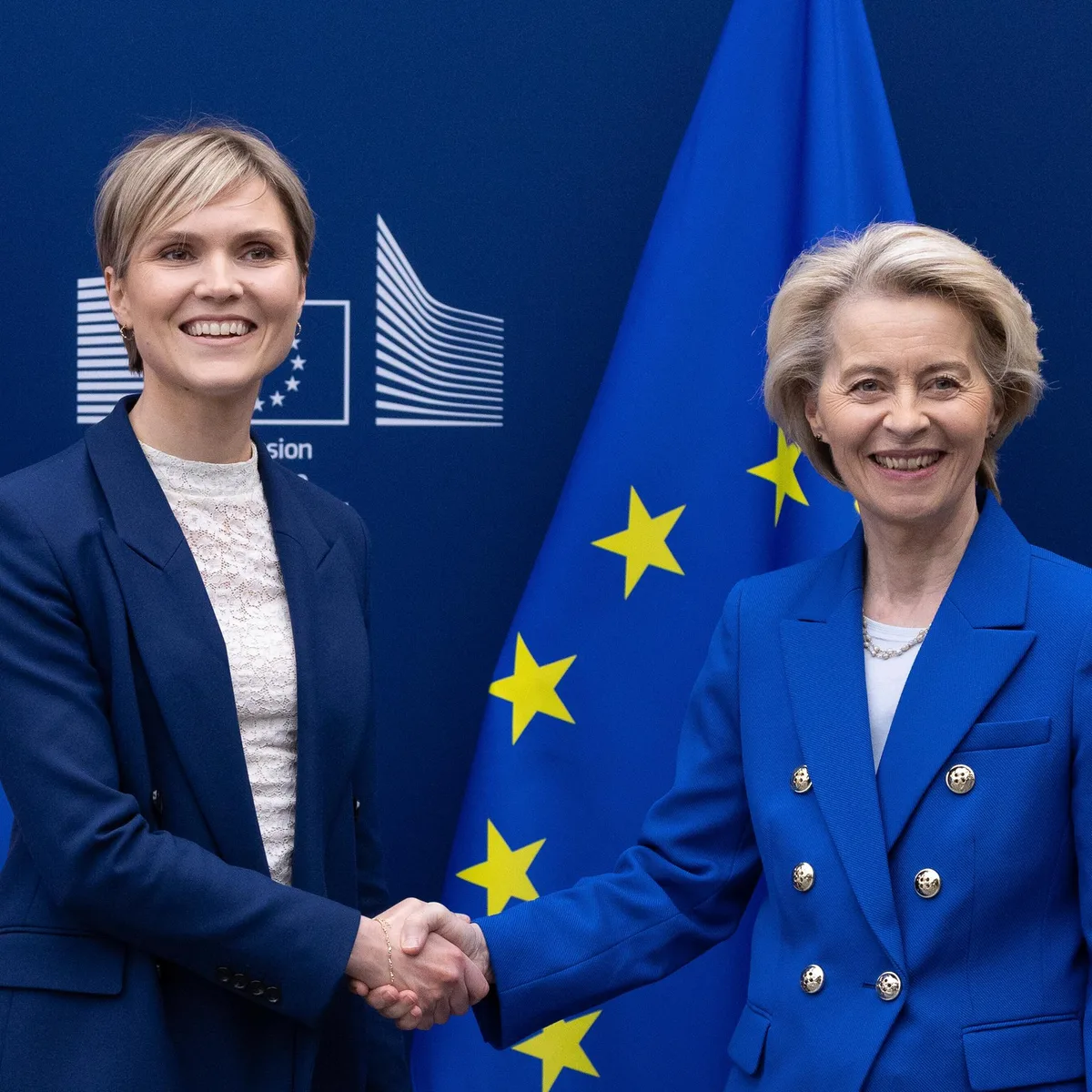 Island - Referendum über Wiederaufnahme von EU-Beitrittsgesprächen