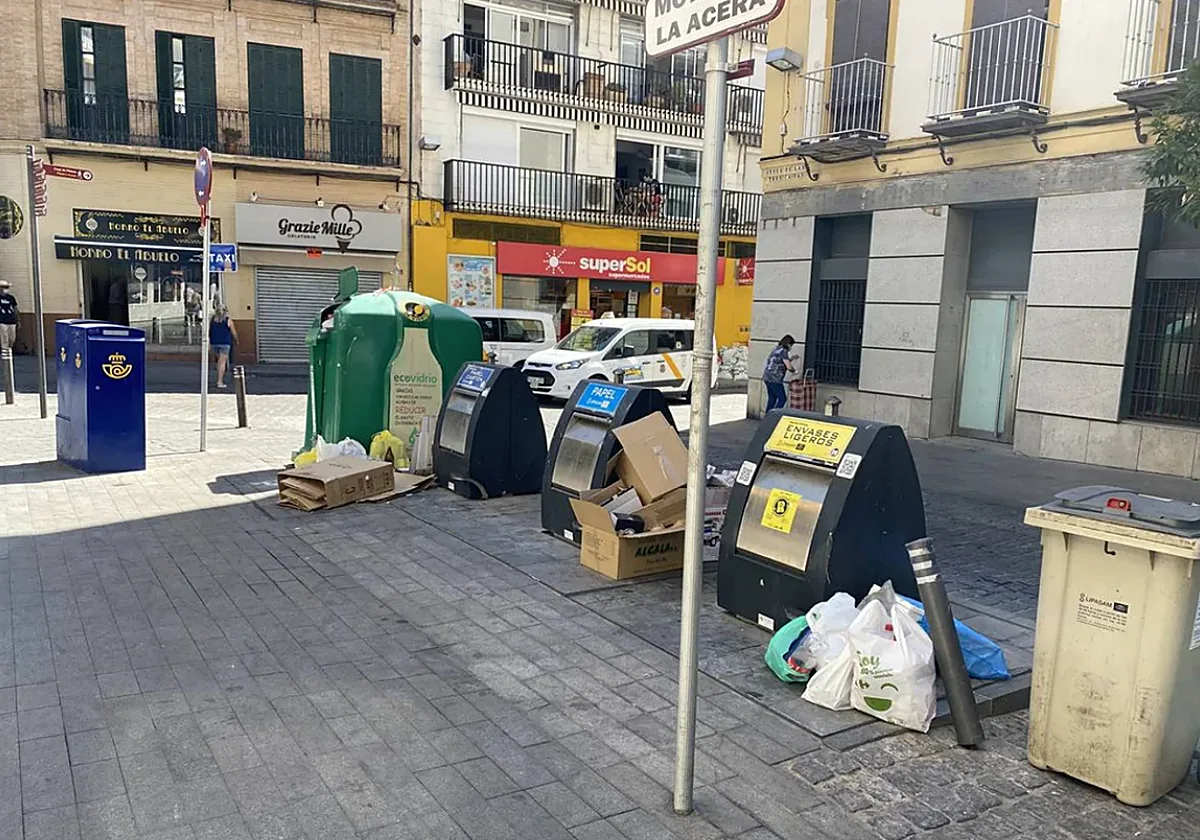 Ya está en vigor: el Ayuntamiento de Sevilla multa con 1.500 euros a los vecinos que rebusquen en la basura