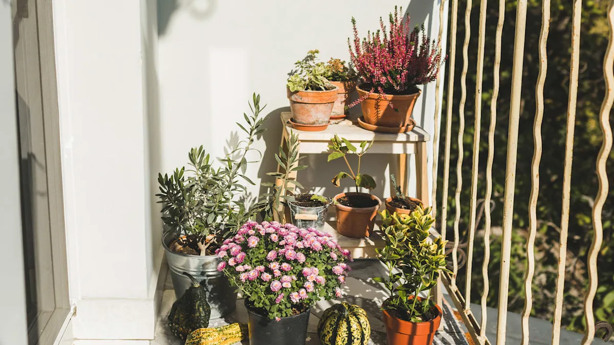Farbenpracht - Wie Sie Balkon und Garten im Herbst bunt gestalten können