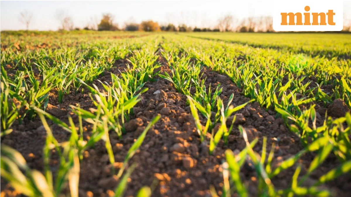When does agri land sale qualify for tax exemption?