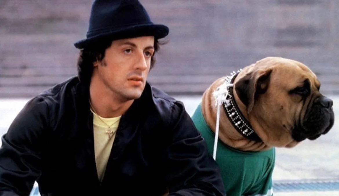 Hace 50 años, Sylvester Stallone vendió a su perro por 40 dólares para poder comer y lo recompró por 15.000 tras escribir ‘Rocky’: “Era el único ser que me amaba”