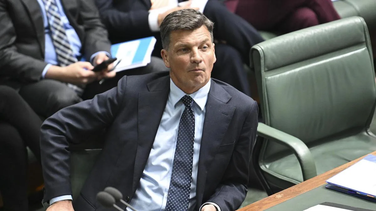 Liberals face ‘risky’ One Nation call as coalition will they, won’t they endures