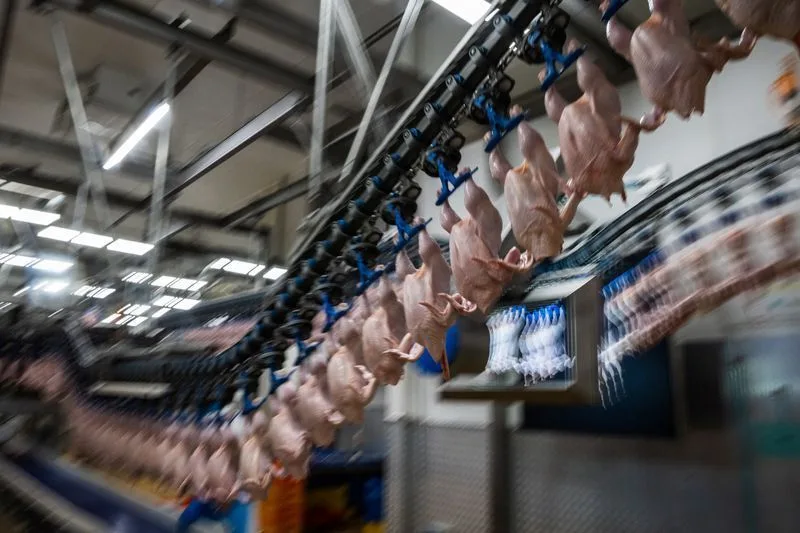 MBRF busca mitigar riscos nas compras de grãos diante do El Niño