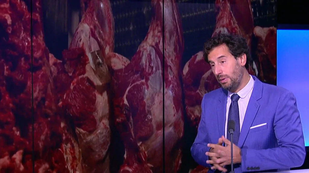Mercosur : l’Europe ferme ses portes aux viandes brésiliennes