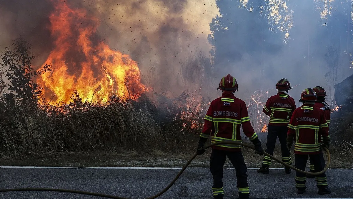 Proteção Civil alerta para risco de incêndio em todo o país