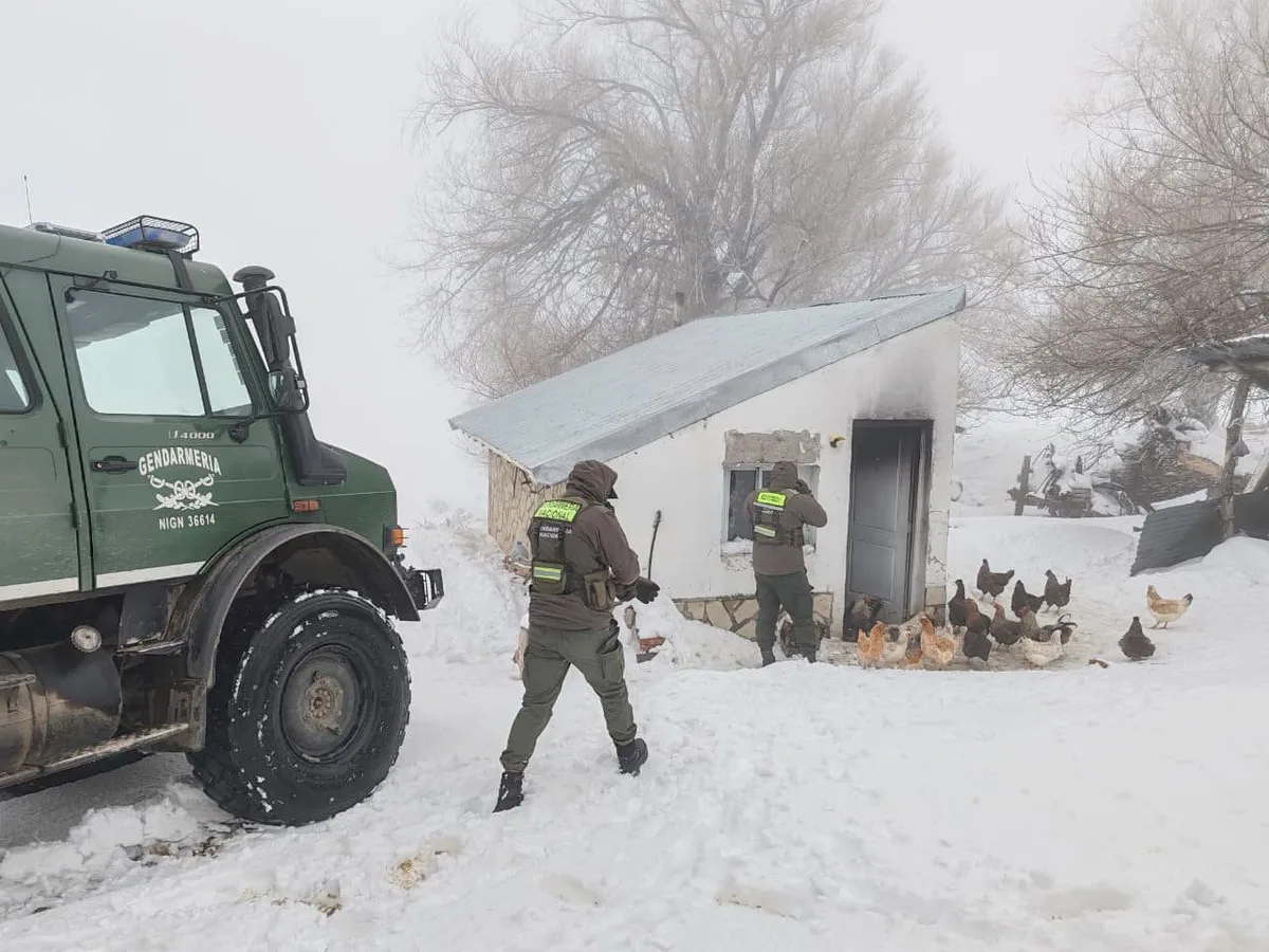 Fuertes operativos de rescate en dos provincias por las intensas nevadas en la Cordillera de los Andes