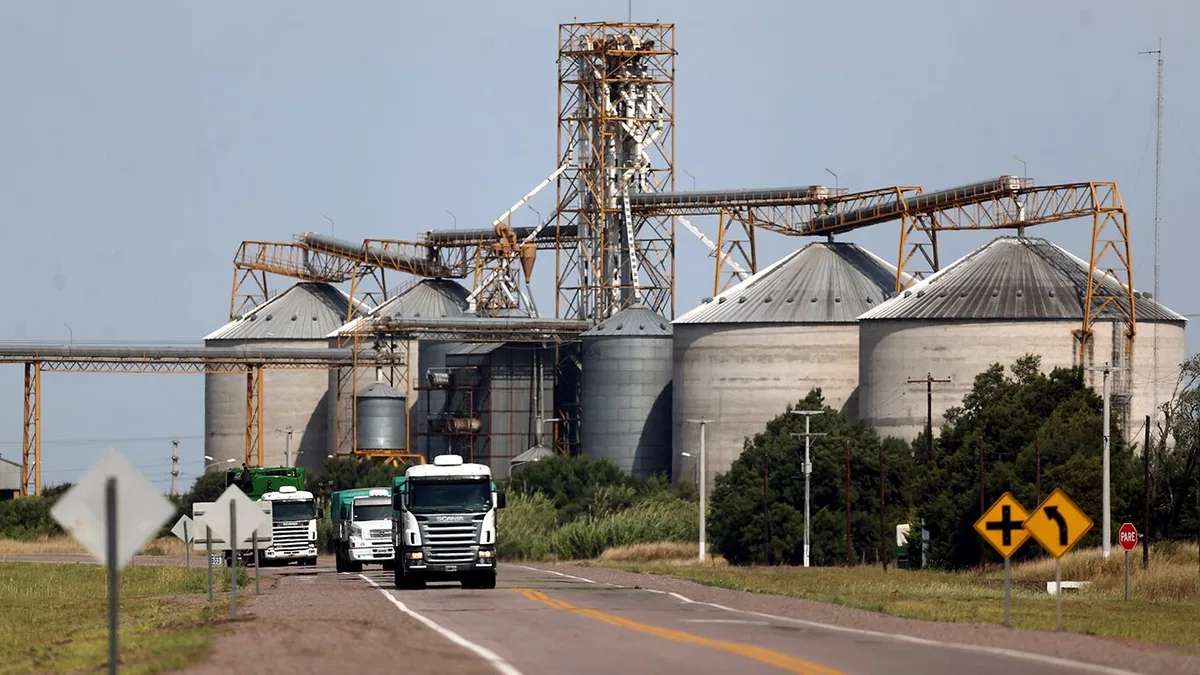 Dólares del campo: proyectan más de US$54 mil millones en la próxima campaña
