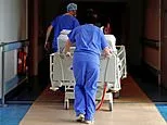What doctors and virus experts are saying about the wave of American Covid sweeping Britain