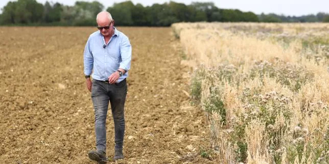 Depuis le Brexit, des paysans anglais sont rémunérés pour s’occuper de la nature : « C’est devenu une source de revenus indispensable »