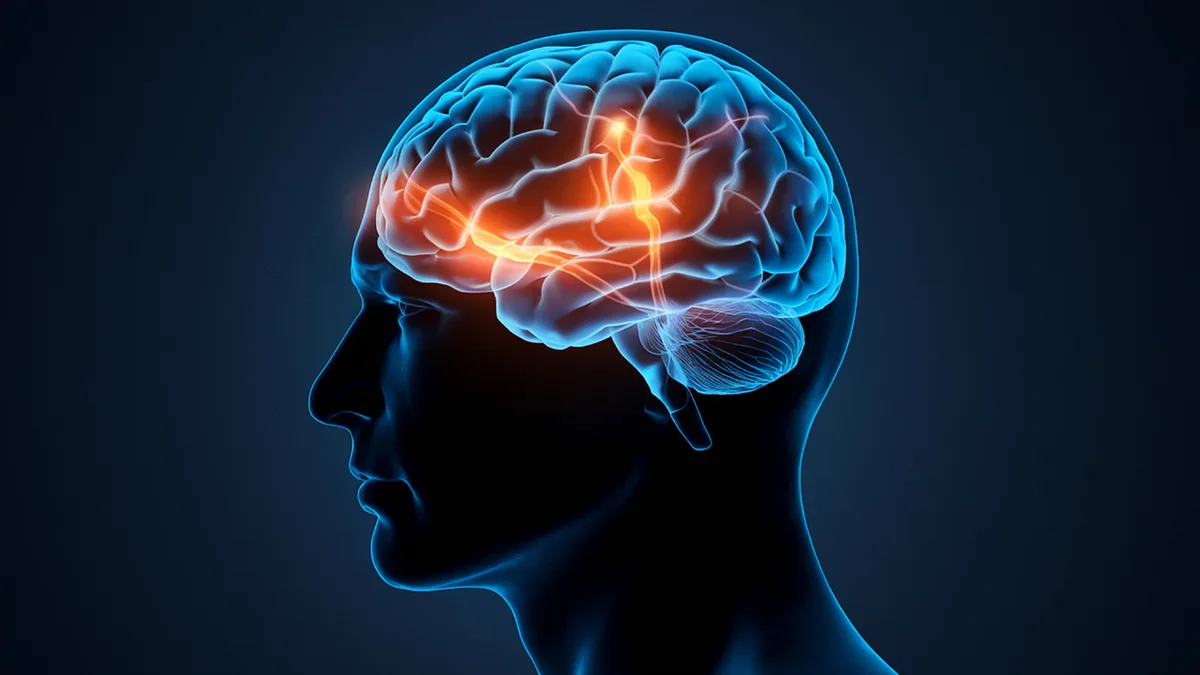 Thousands of ancient brains survived for 12,000 years; scientists uncover why