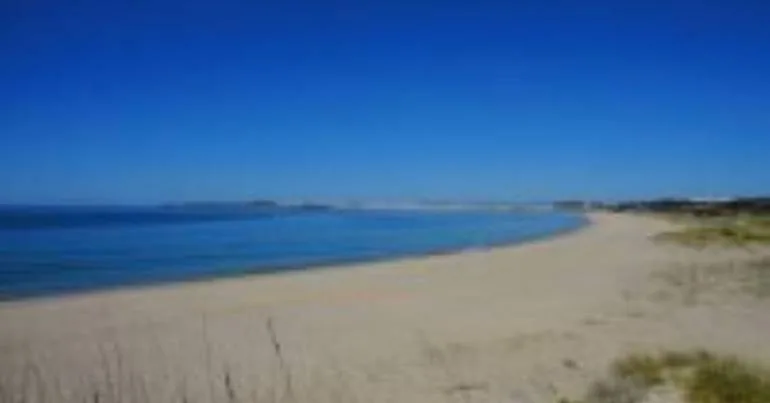 Movimento pede suspensão de projeto turístico na Meia Praia