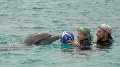 Delfin-Therapie auf Curaçao