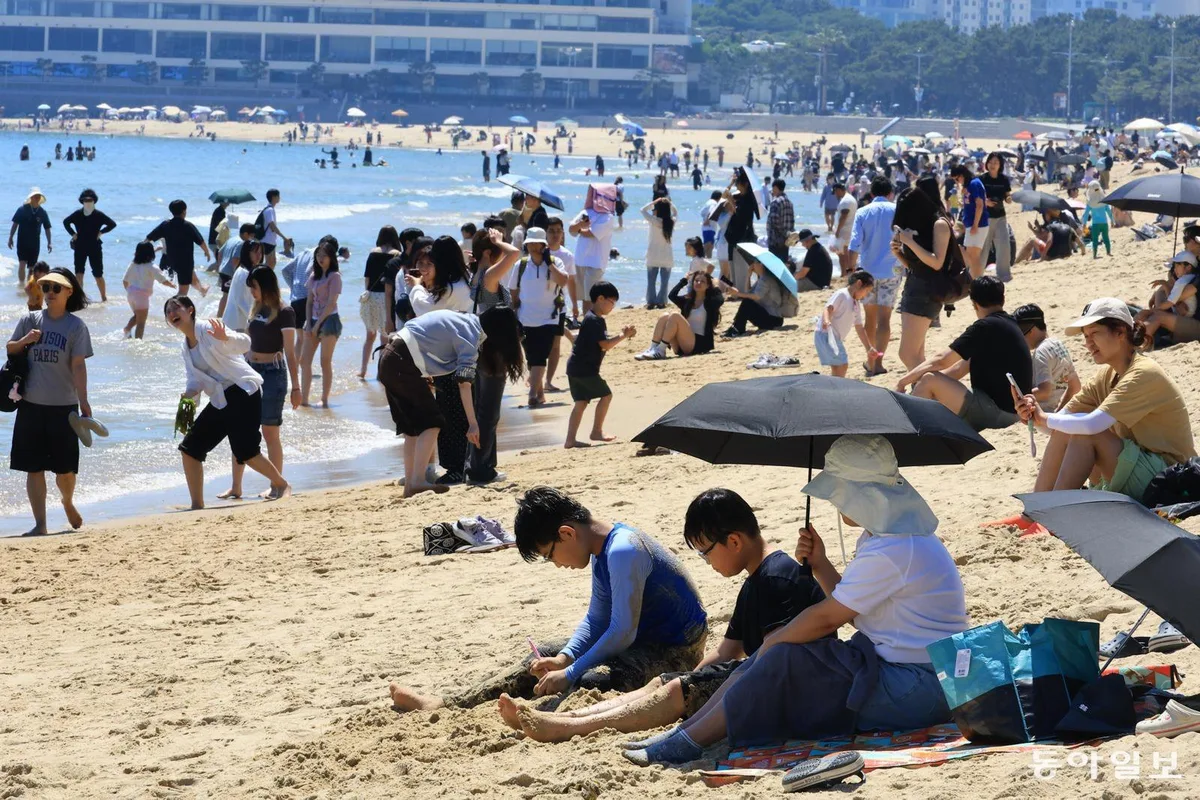[신문과 놀자!/이야기로 배우는 쉬운 경제]휴가철엔 ‘몇배 가격’… 시장價일까 바가지일까
