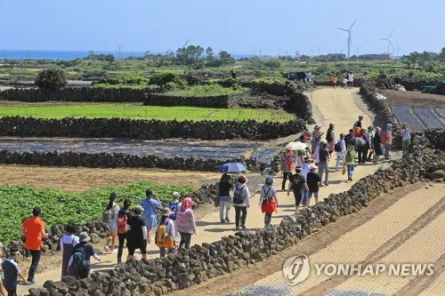 제주밭담축제 18일 개막…8개 마을 스탬프 투어 진행