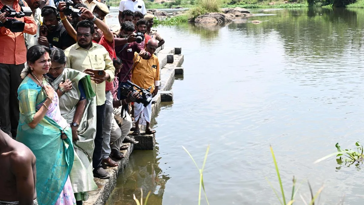 Sowmiya Anbumani calls for concerted efforts to protect Tamirabarani