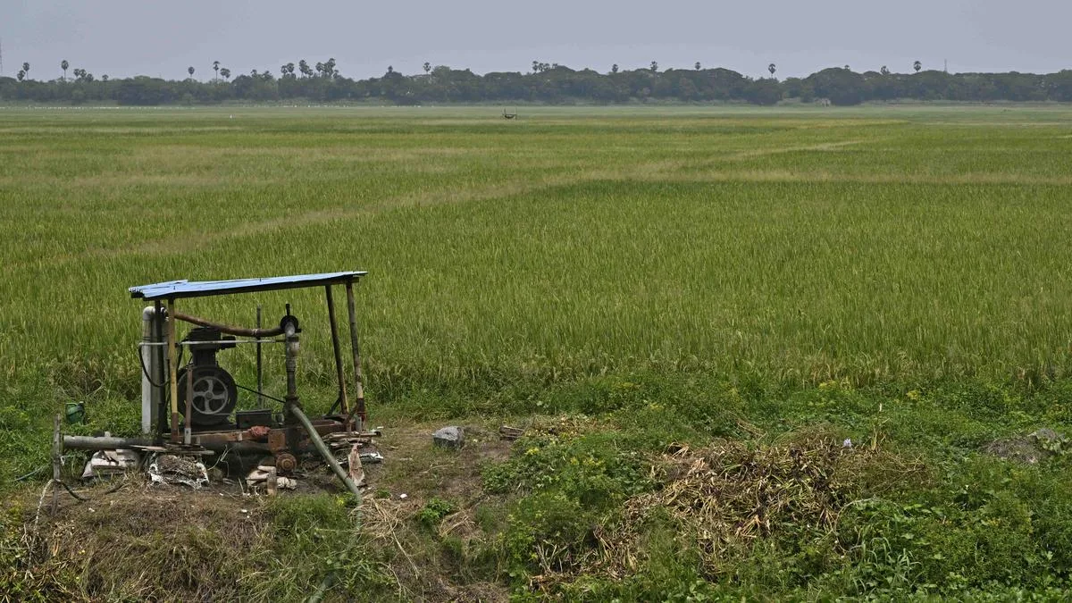 Puducherry’s Bahour lake shrinks amid encroachments, clogged feeder channels