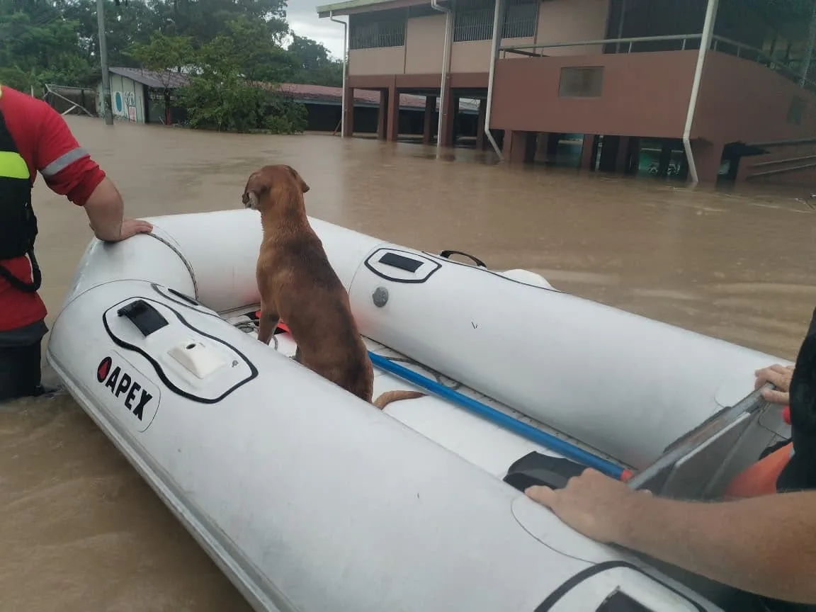 En fotos: Así fueron los rescates en zonas afectadas por Onda Tropical que golpea en Costa Rica