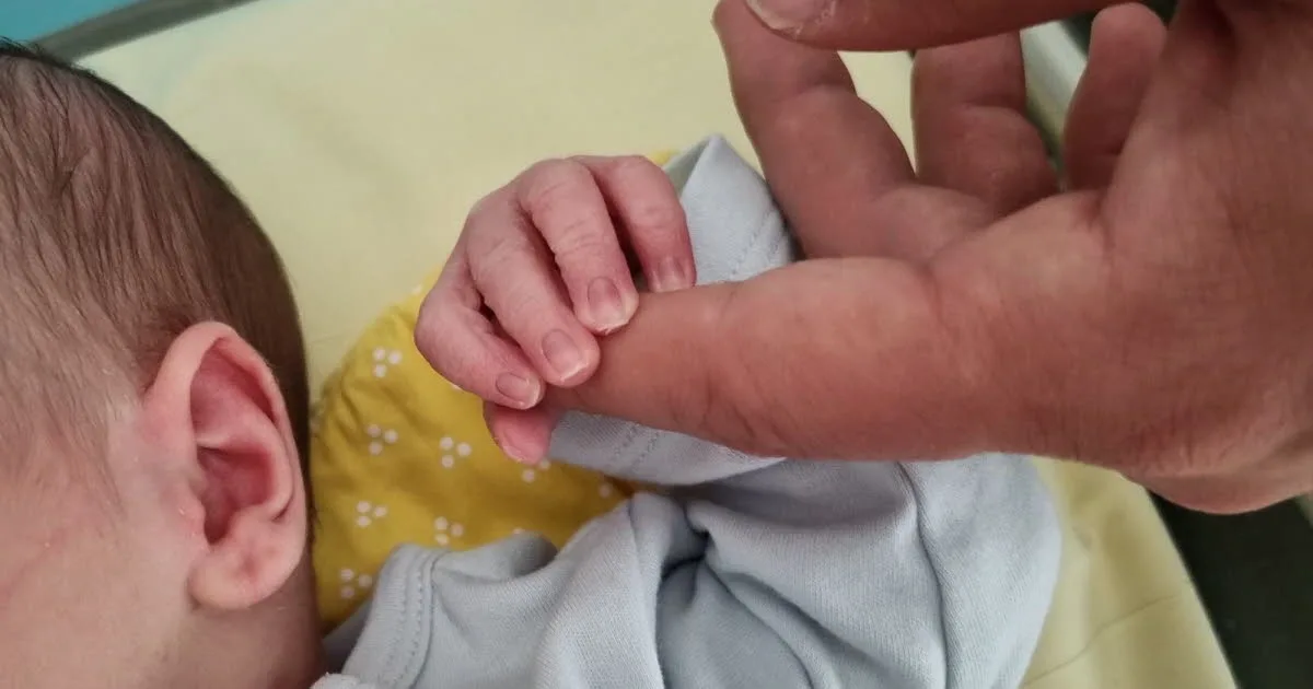 Infographies. Où fait-on le plus de bébés dans votre département ?