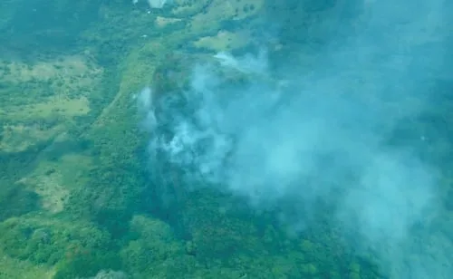 Incendio forestal consume 40 hectáreas de Copainalá, Chiapas; fuego avanzó por falta de intervención, denuncian