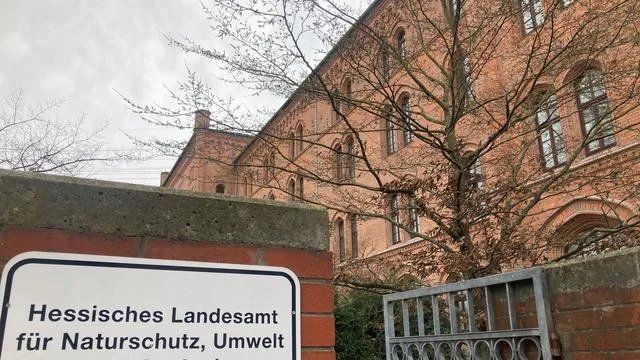 Geologie: Leichtes Erdbeben im Taunus - Anderes Verhalten von Katzen?