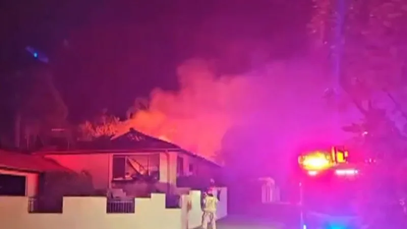 Teenagers and dog escape south Sydney fire