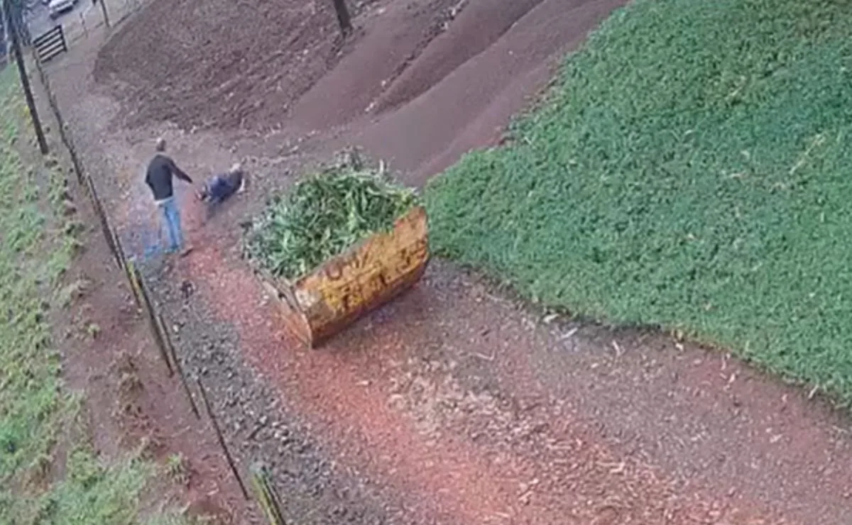 Briga por terras: homem é esfaqueado por vizinho em propriedade rural no Paraná; veja vídeo
