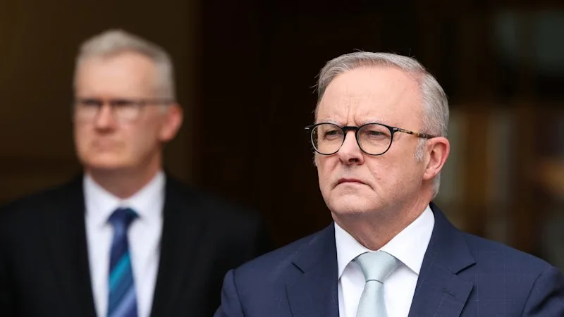 Australia news LIVE: Labor marked down on migration; Hanson ramps up fight against gun buyback scheme