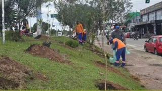 Revitalização dos jardins e áreas verdes é iniciada