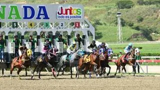 Ganancias seguras en La Rinconada