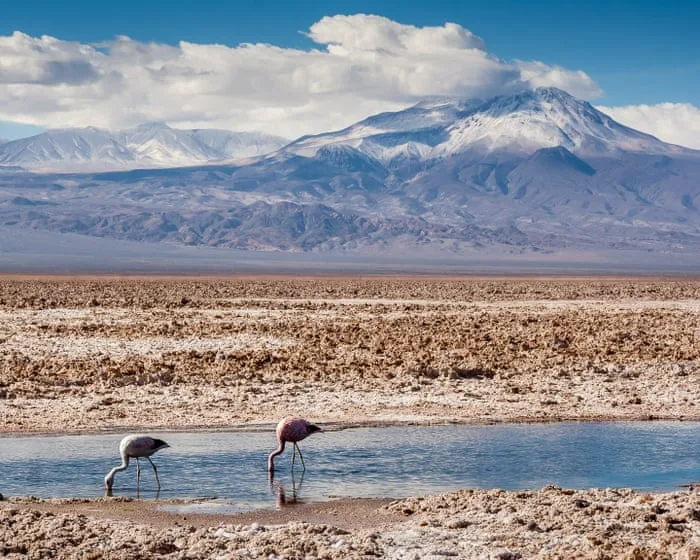 Why a Chilean salt flat is a microcosm of the extractive frontiers of green capitalism