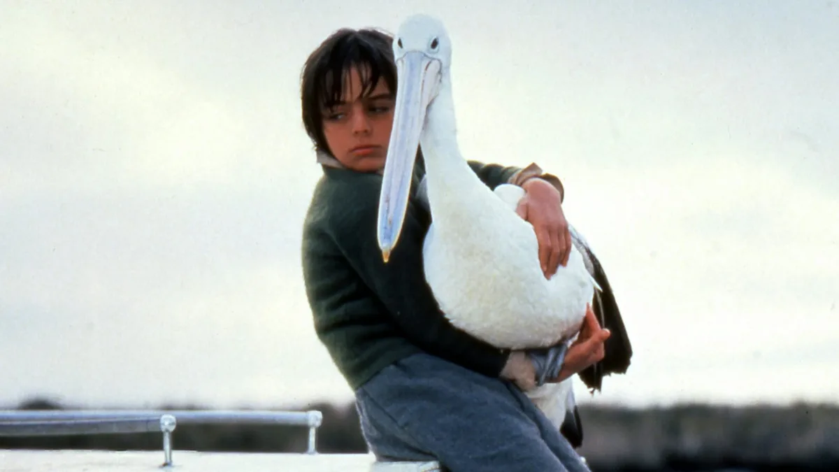 Australian children’s classics: Storm Boy’s tough, tender ode to wild childhood will make you cry