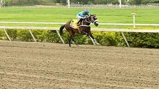Con este ajuste Princesa quedó Fina para la Copa Invitacional del Caribe GI