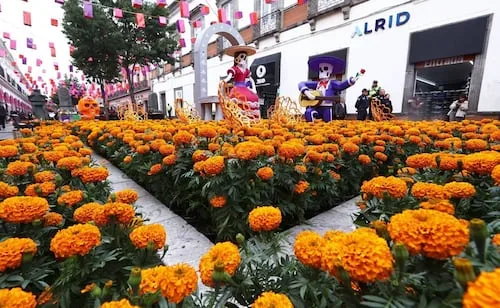 Qué hacer el fin de semana cerca de CDMX; con catrinas, videomapping y 31 minutos