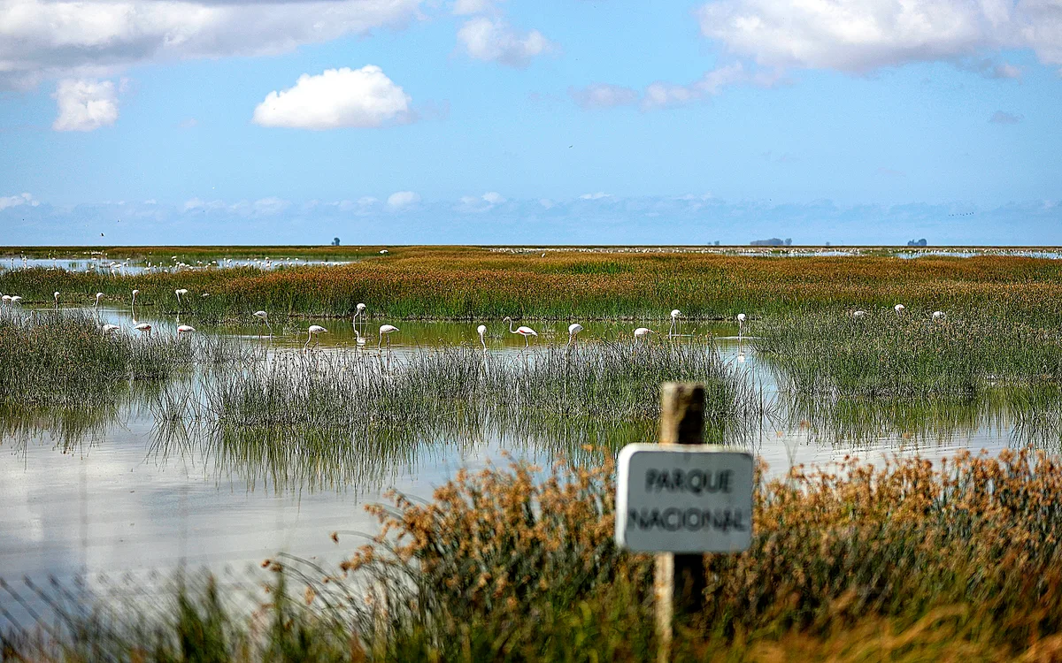 El Gobierno amenaza Doñana con la expropiación de su marisma