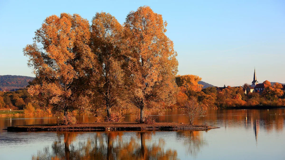 Herbstliche Stimmung - Warum der Herbst die schönste Jahreszeit ist