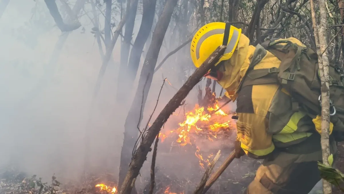 Los ciudadanos, a favor de que se envíen avisos 'ES-Alert' a los móviles en caso de incendios forestales