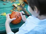 Halloween pumpkins will be too SMALL to carve this year: Drought has left gourds up to 40% smaller - and with tougher skins