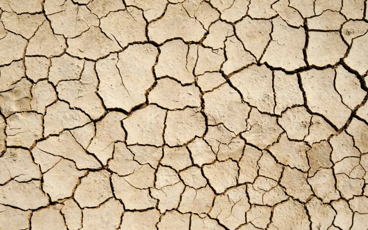 Voici ce qui empêche la sécheresse de frapper toute la planète en même temps