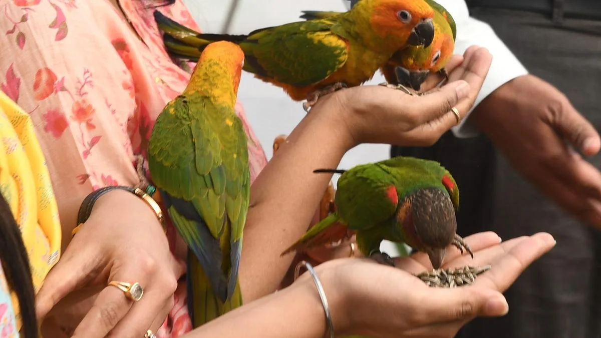High volume of exotic animal applications in T.N., gaps in facilities hamper regulation and seizure
