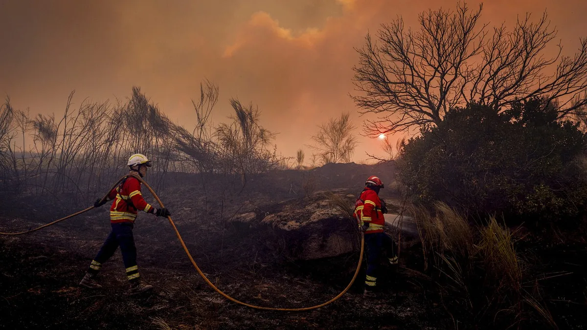 Incêndios: Governo reconhece fogos de Vouzela e Valpaços como catástrofe natural