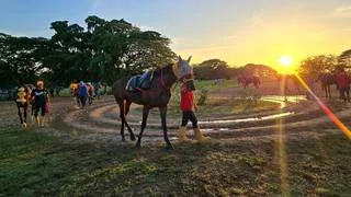 Datos de última hora para el Hipódromo Nacional de Valencia 15-8-2026