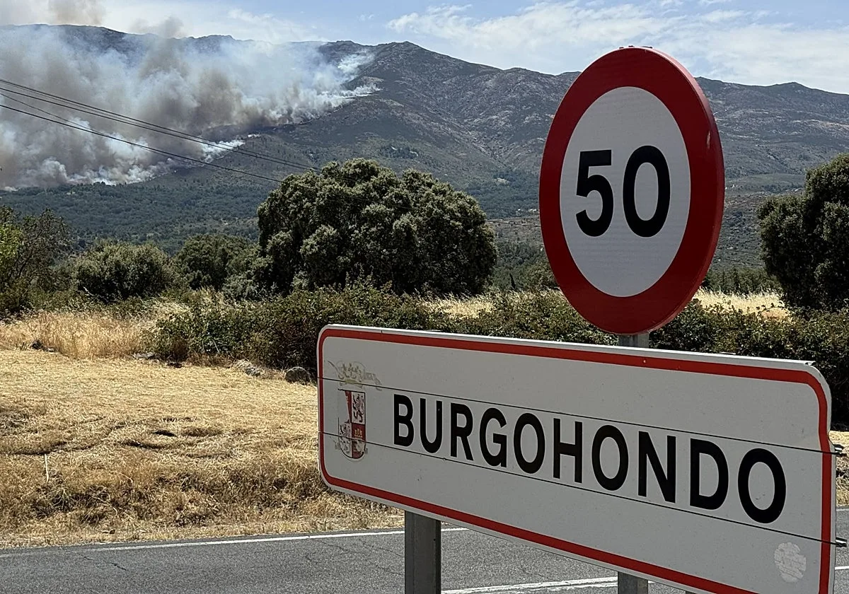 Un juzgado de Ávila inicia las diligencias para investigar el origen del incendio de Burgohondo