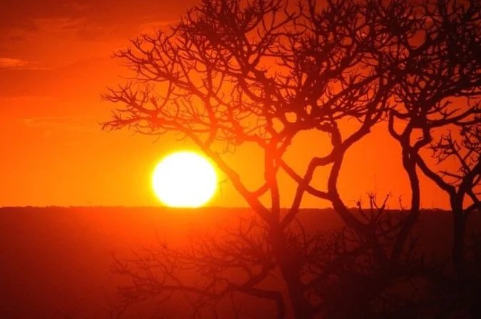 El Niño: governo prevê ações contra secas, enchentes e incêndios