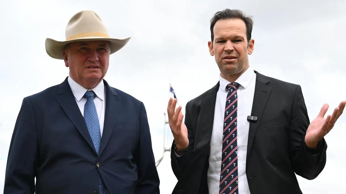 Coalition, One Nation revive push on abortion crackdown