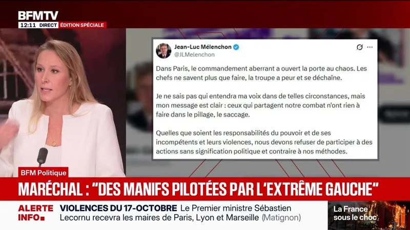 Manifestations du 17 octobre: "Je les assimile aux autres", affirme Marion Maréchal, eurodéputée et présidente d'Identité-Liberté à propos des manifestants ayant défilé dans le calme