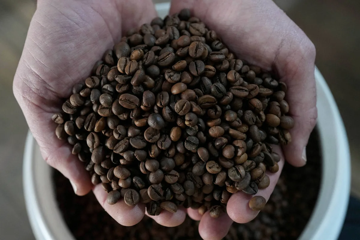 Exportação de café do Brasil salta mais de 50% em setembro; embarque de petróleo também dispara
