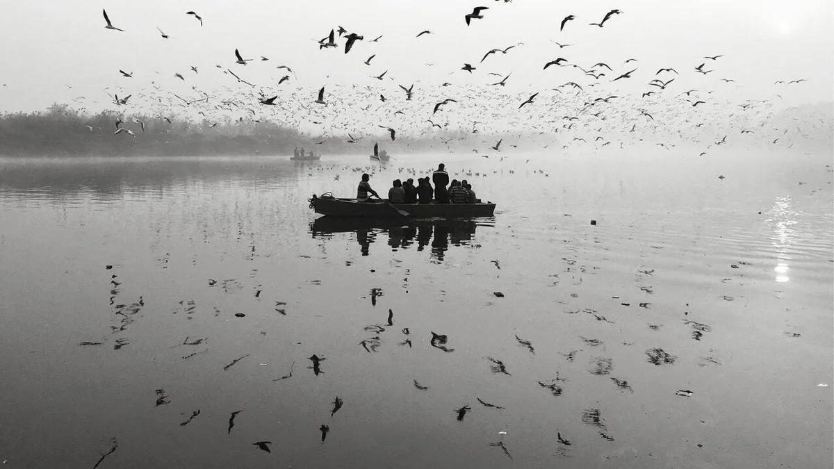 Jharkhand's Dhanbad turned a barren coal-belt hillock green; CISF is now trying the same experiment on 6 acres along Delhi’s Yamuna